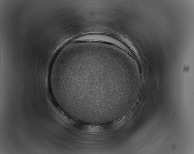 X0000102520154200808081435