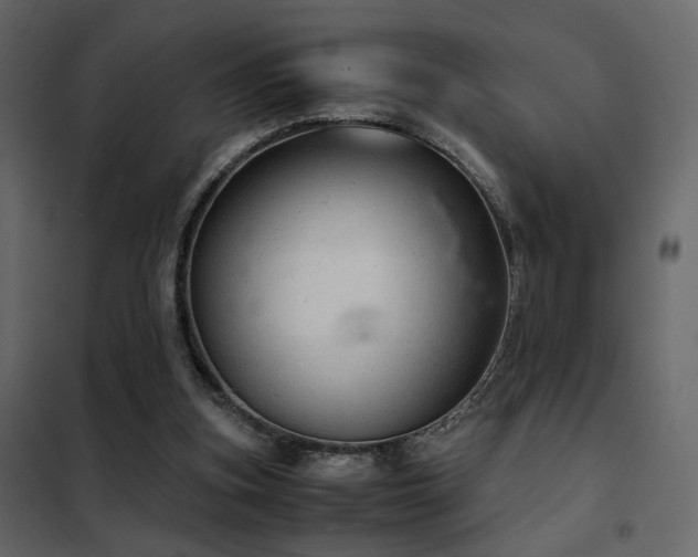 X0000102520155200808081435