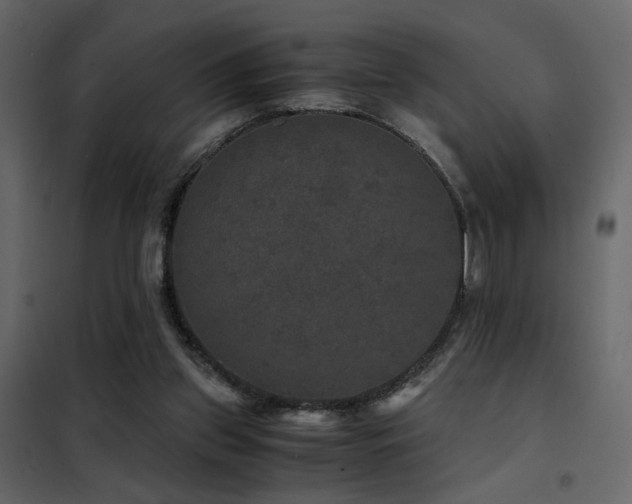 X0000102520157200808081435