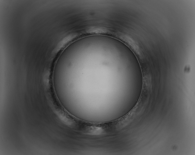 X0000102520159200808081435