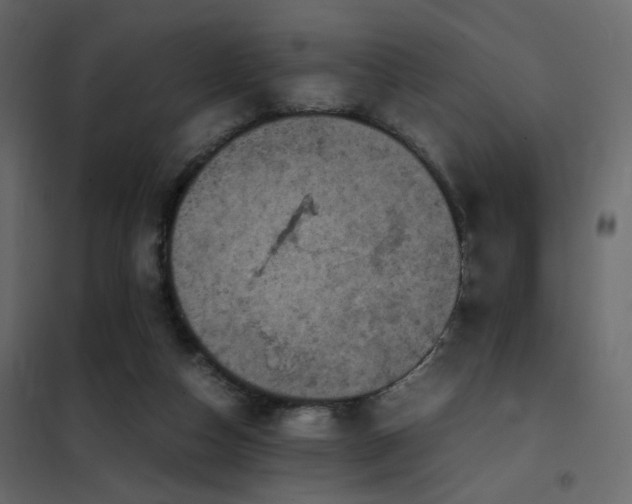 X0000102520162200808081435