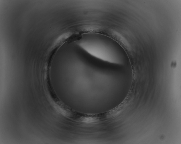 X0000102520163200808081435