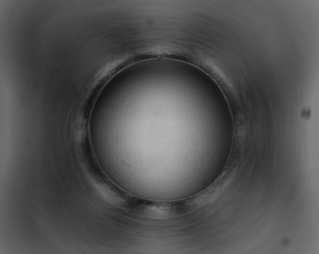 X0000102520164200808081435