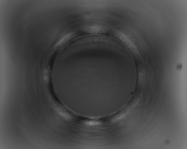 X0000102520165200808081435