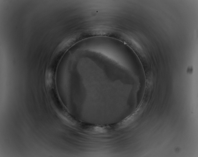 X0000102520166200808081435