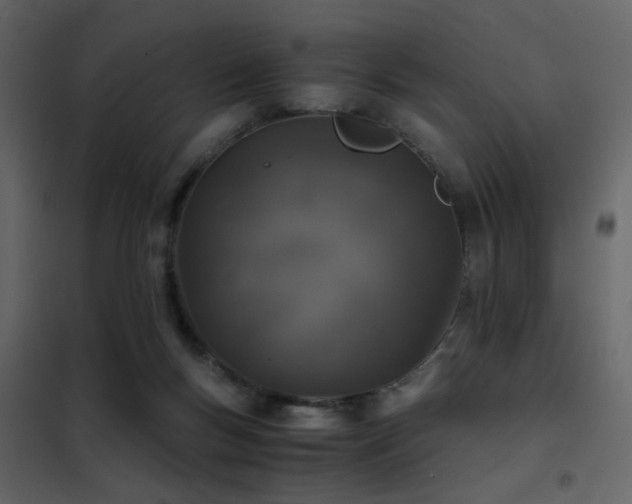 X0000102520167200808081435