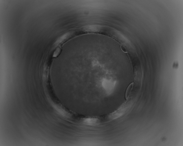 X0000102520168200808081435