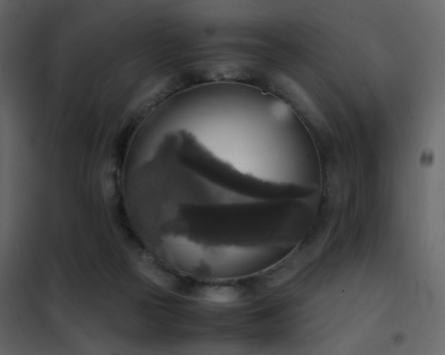 X0000102520169200808081436