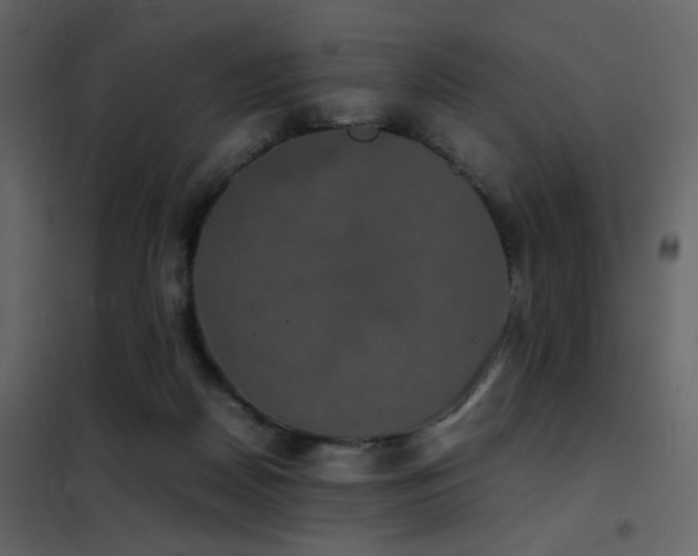 X0000102520170200808081436