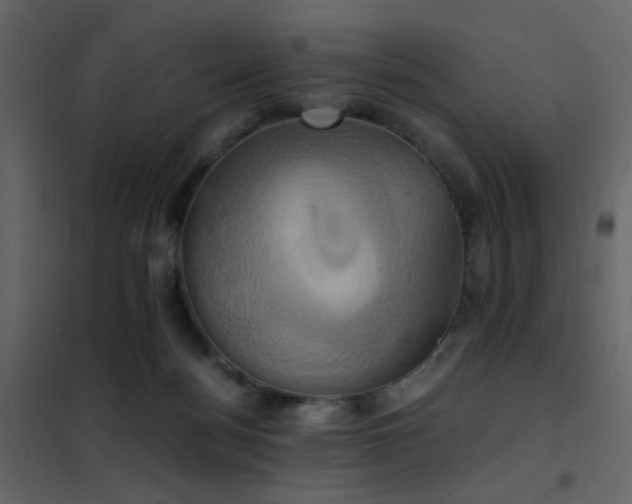 X0000102520172200808081436