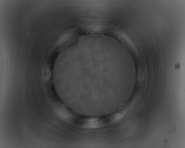 X0000102520173200808081436