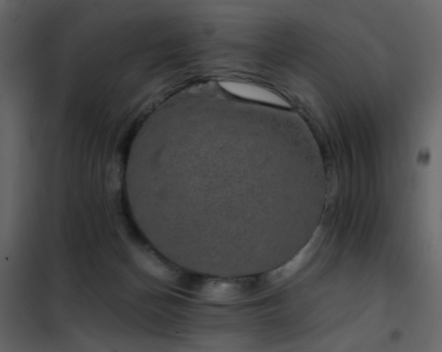 X0000102520174200808081436