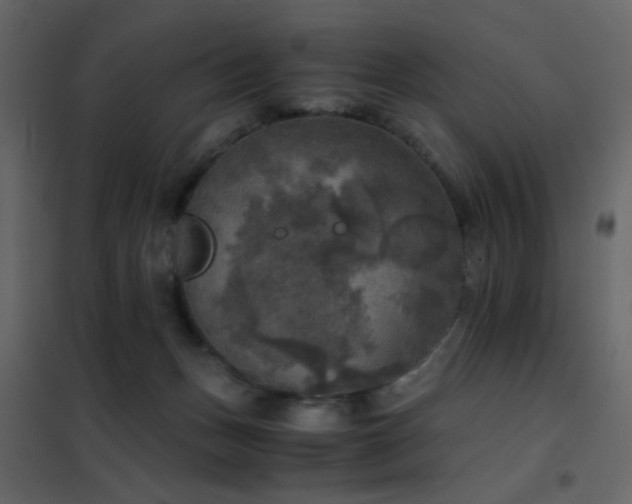 X0000102520175200808081436