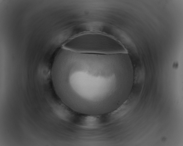 X0000102520176200808081436