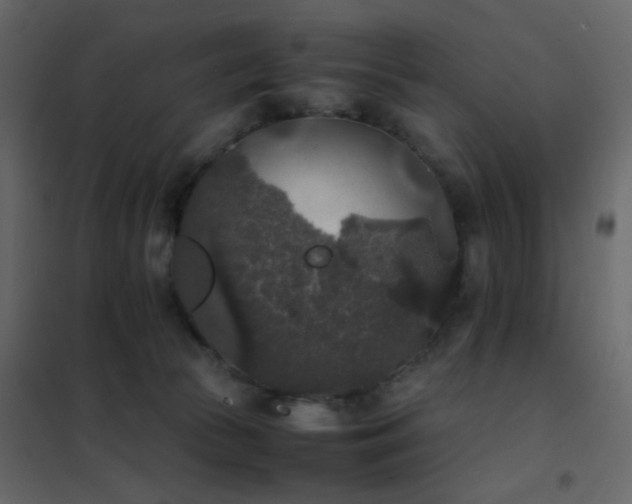 X0000102520177200808081436