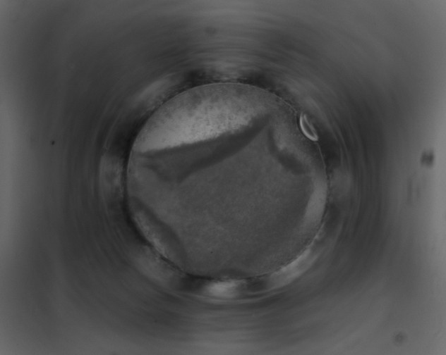 X0000102520178200808081436