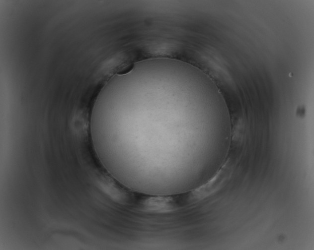 X0000102520179200808081436