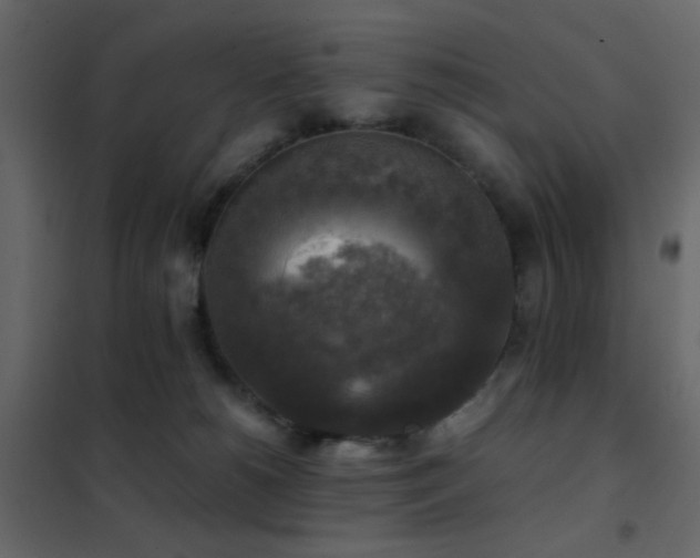 X0000102520180200808081436