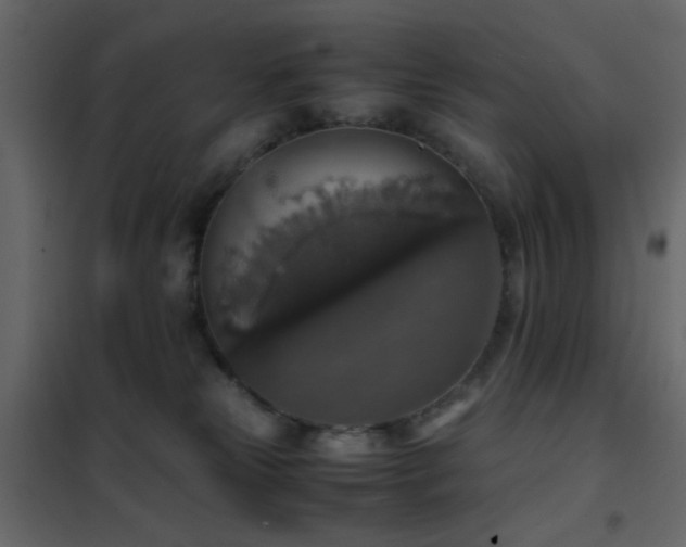 X0000102520181200808081436