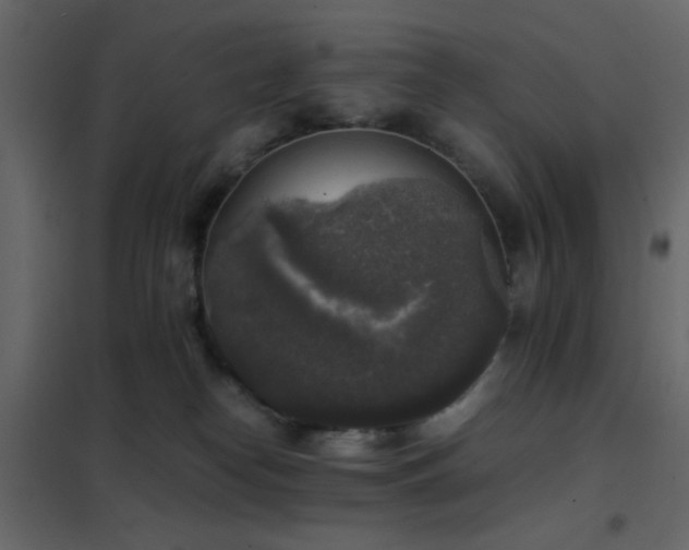 X0000102520182200808081436