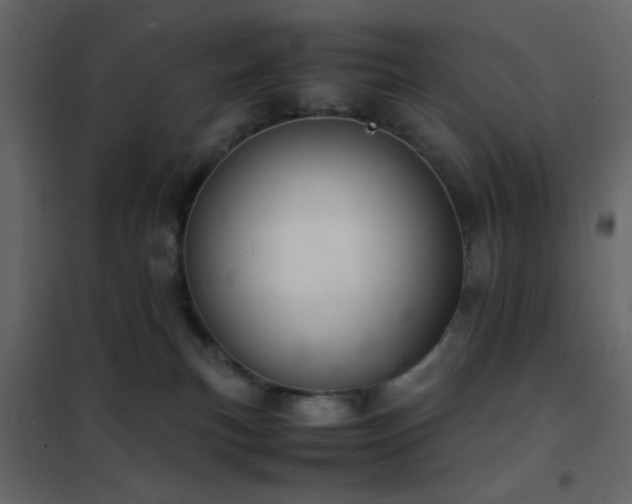 X0000102520183200808081436