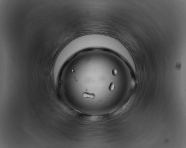 X0000102520184200808081436