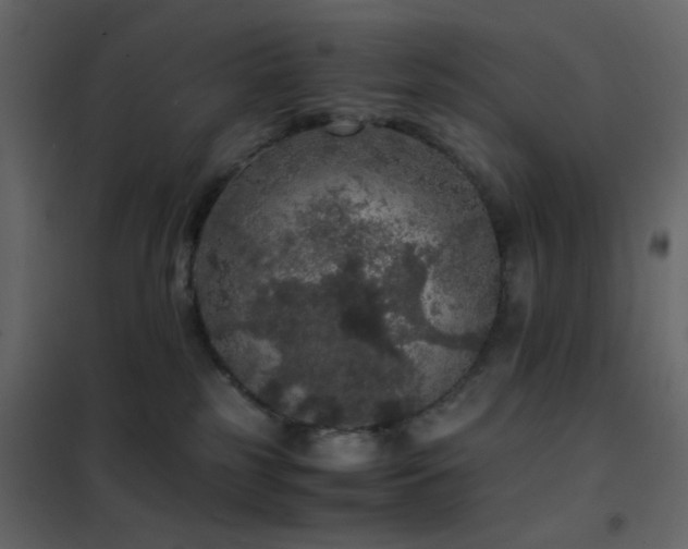 X0000102520185200808081436