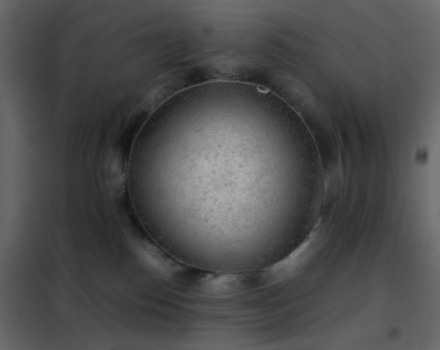 X0000102520186200808081436