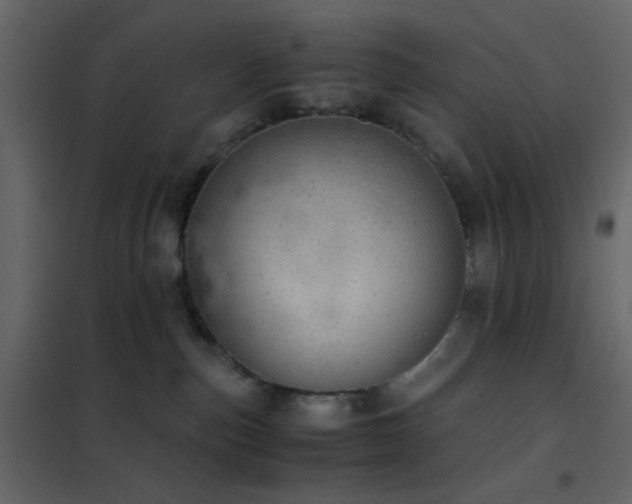 X0000102520187200808081436