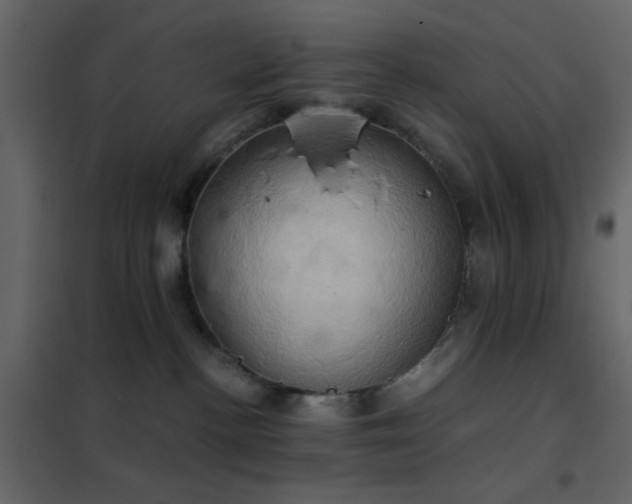 X0000102520188200808081436