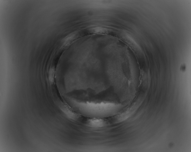 X0000102520189200808081436