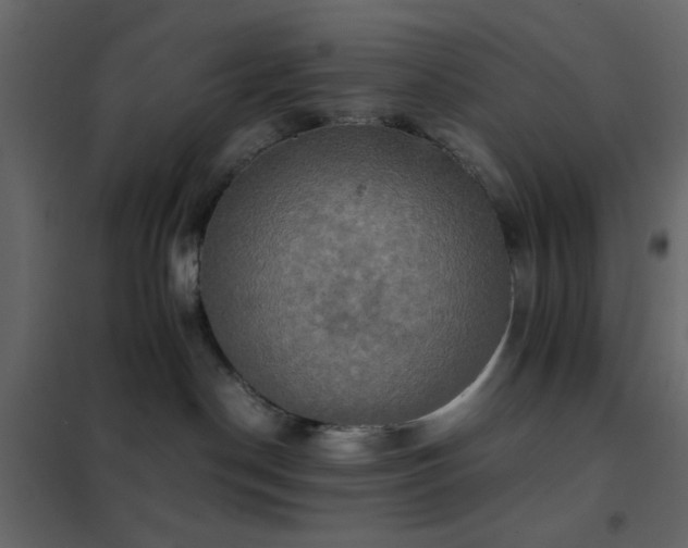 X0000102520190200808081436