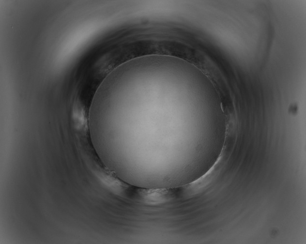 X0000102520191200808081436