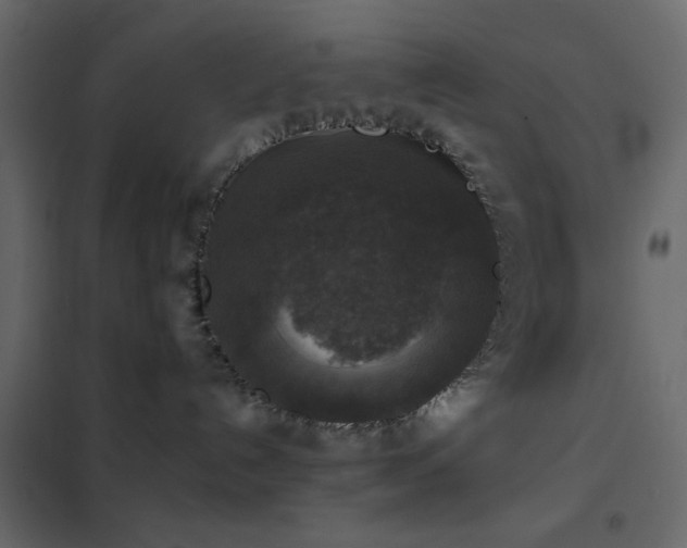 X0000102520192200808081436