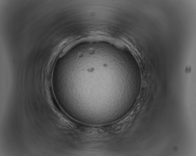 X0000102520193200808081435