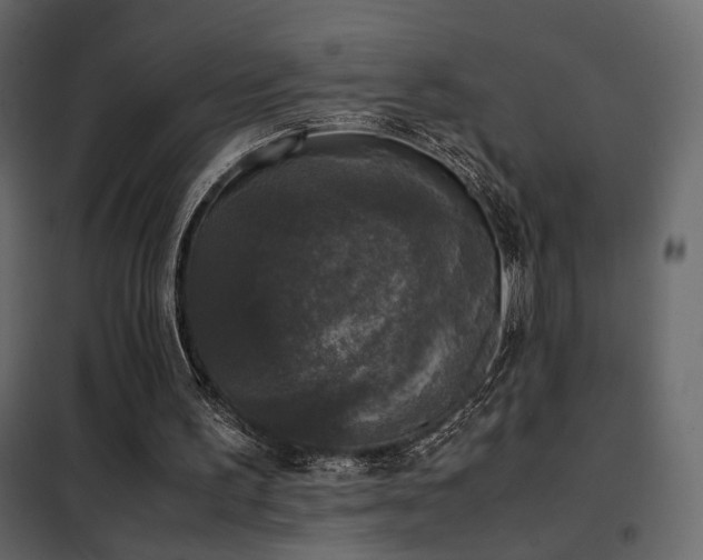 X0000102520195200808081435