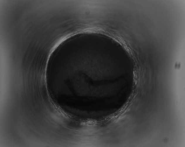 X0000102520196200808081435