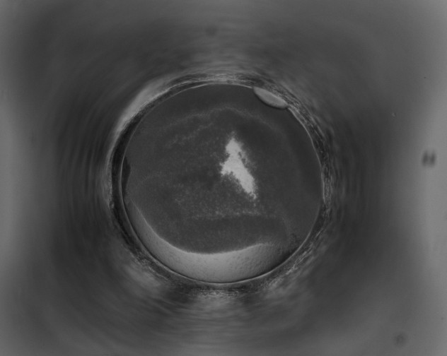 X0000102520198200808081435