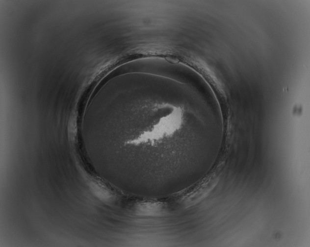 X0000102520202200808081435