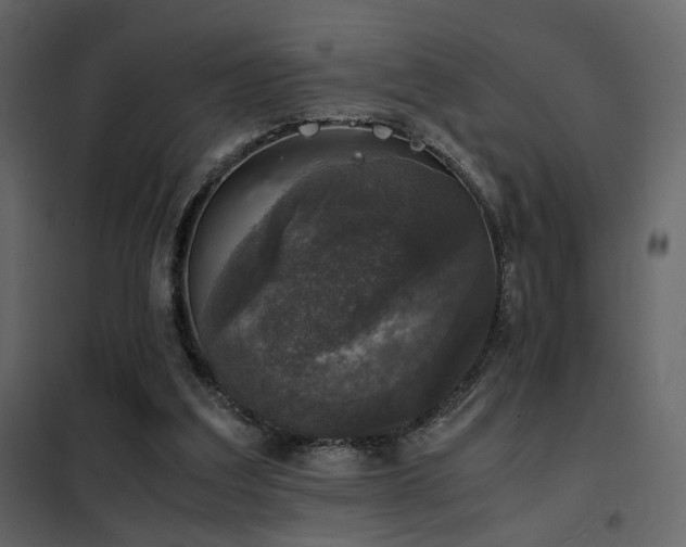 X0000102520203200808081435