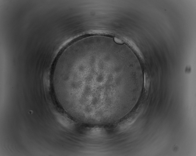 X0000102520204200808081435