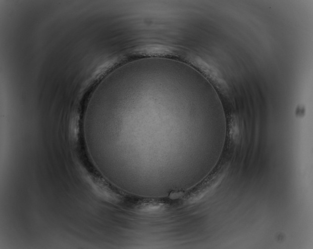 X0000102520206200808081435