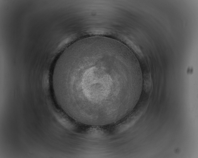 X0000102520207200808081435