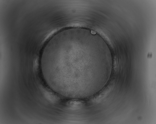 X0000102520208200808081435