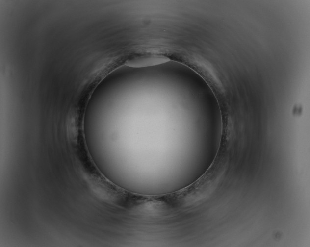 X0000102520210200808081435