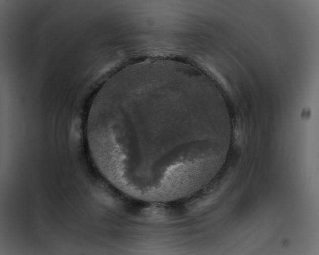 X0000102520211200808081435