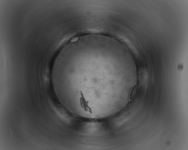 X0000102520212200808081435