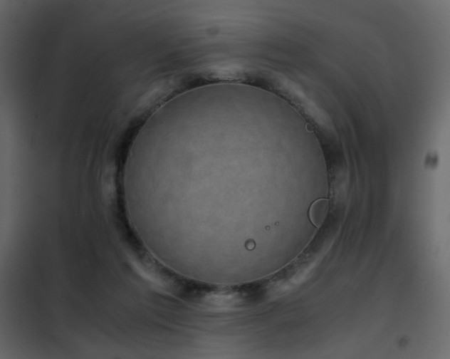 X0000102520213200808081435