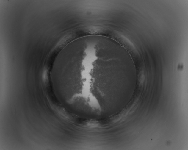 X0000102520214200808081435