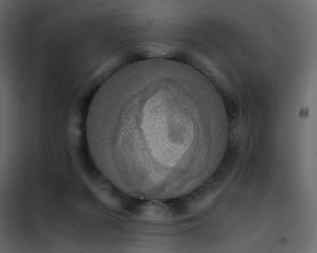 X0000102520215200808081435